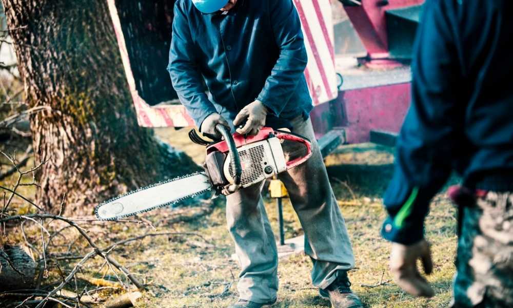 How To Use A Chainsaw A Complete Guide For Beginners